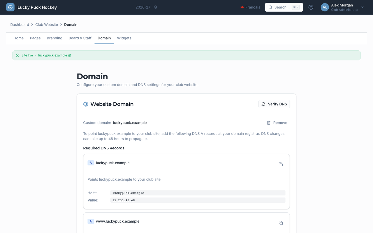 Domain screenshot